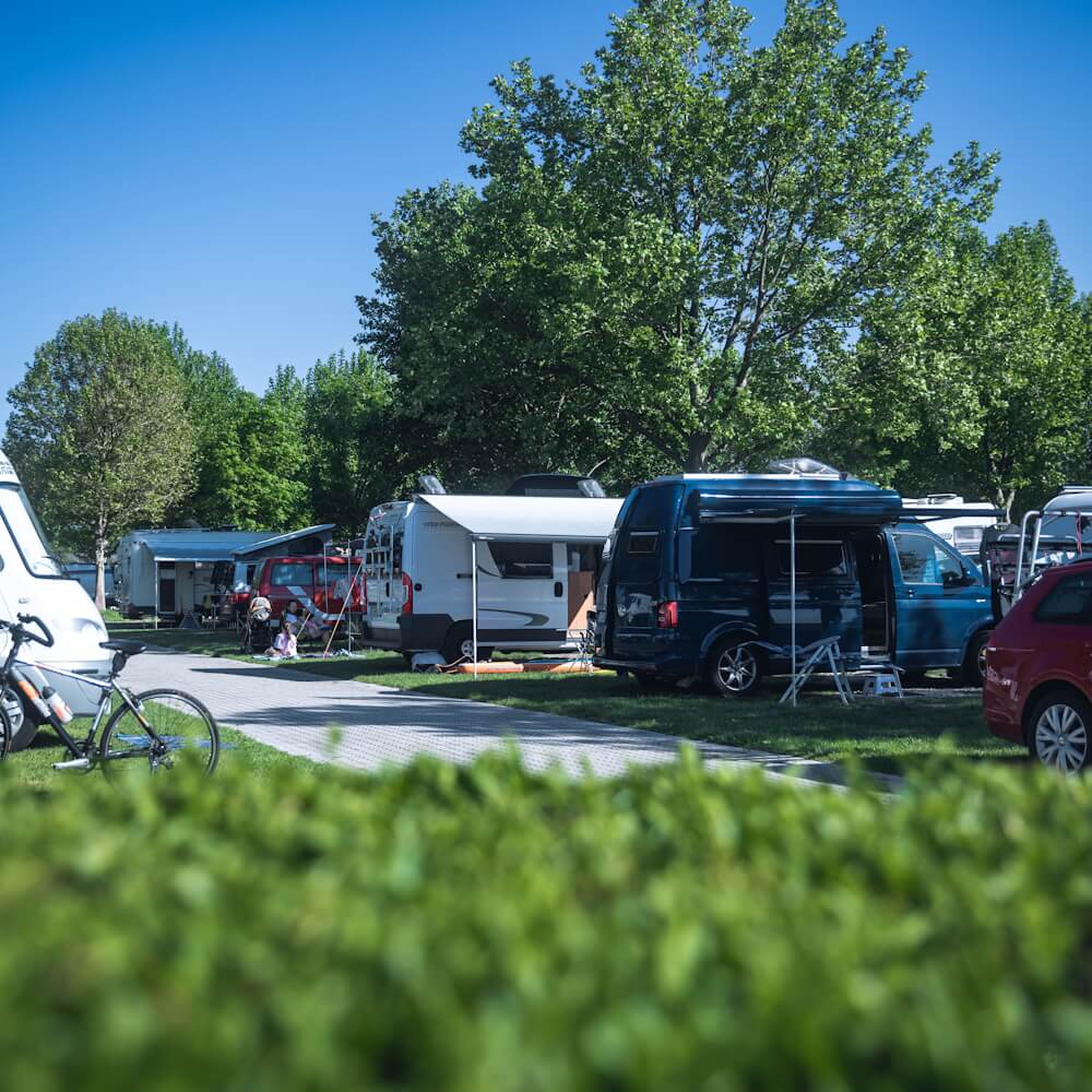 Der Podersdorfer Campingplatz.